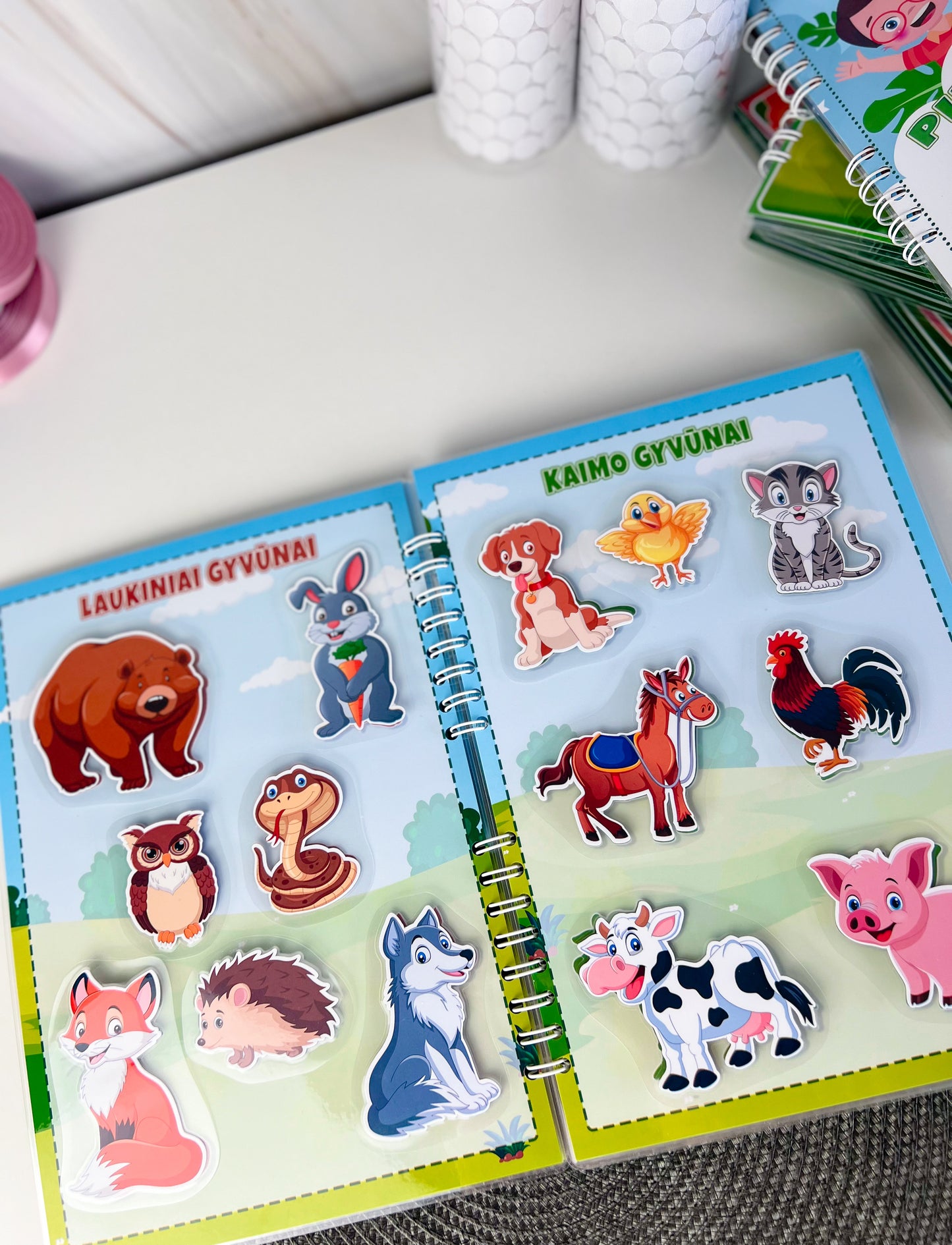 Didelė "Mano užduotėlės" lavinamoji knygelė